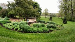 IMG_20180515_142132870