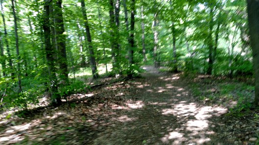 IMG_20180529_162424554