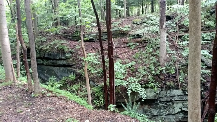 IMG_20180724_101019630