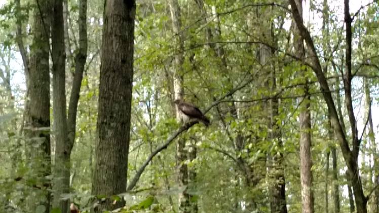 IMG_20180926_153215717