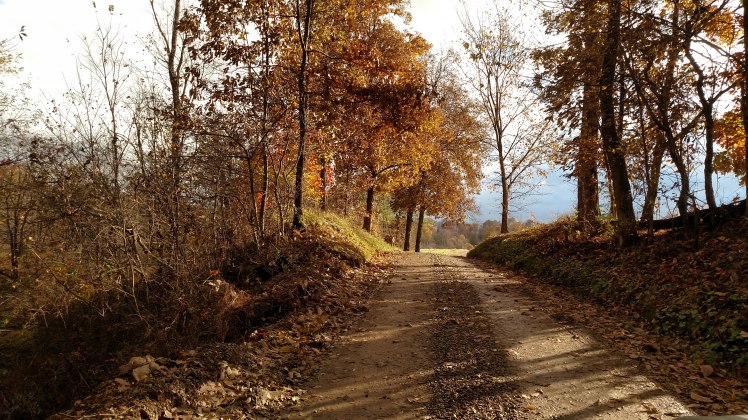 IMG_20181106_092239367