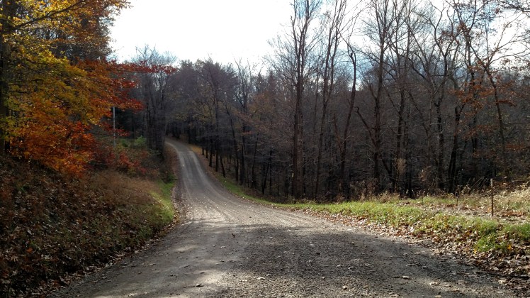 IMG_20181106_103449022