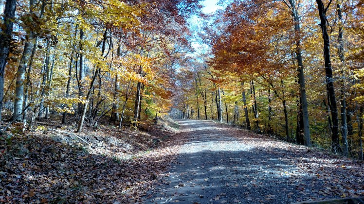 IMG_20181106_110145446